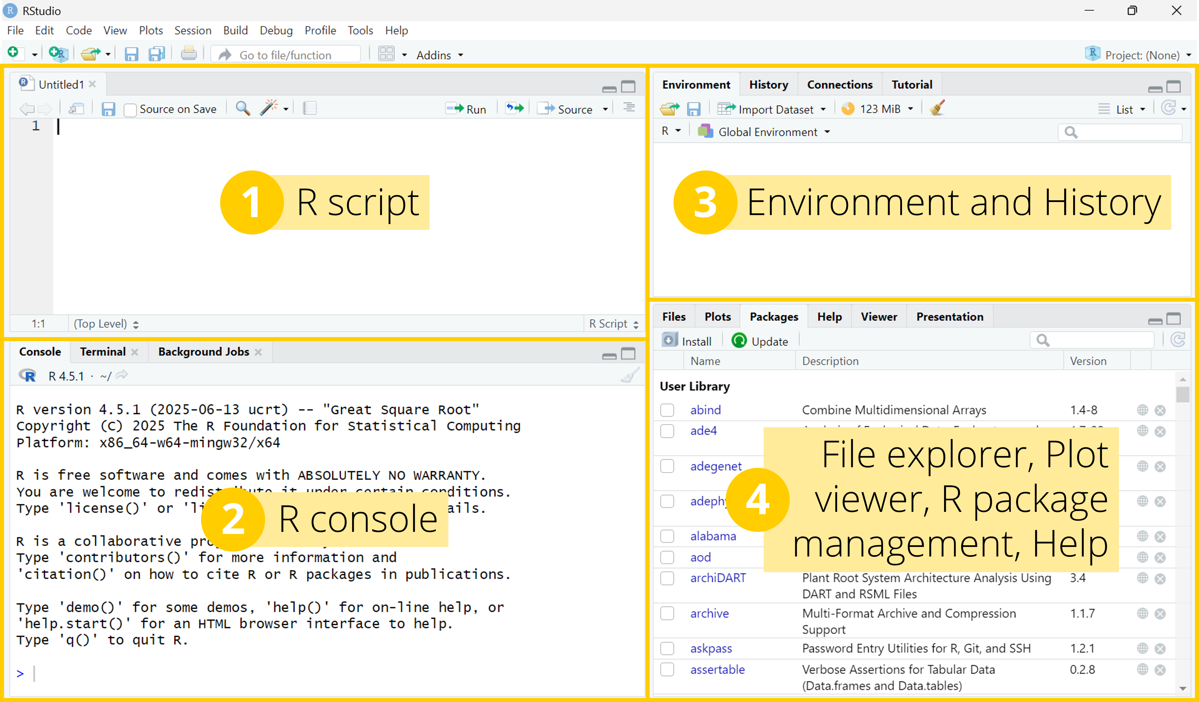 Tutorial 1: Getting to know R and RStudio