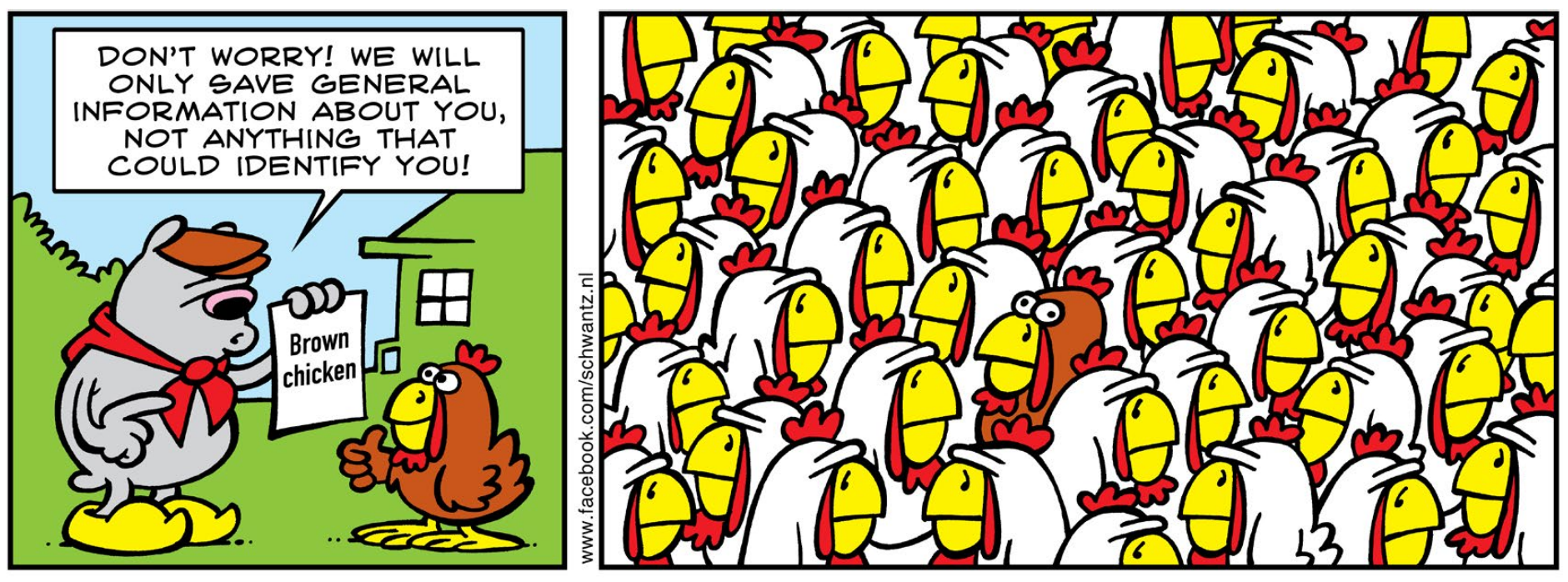 Comic about anonymous data. The left pane shows an animal that says ‘Don’t worry! We will only save general information about you, not anything that could identify you!’, while holding a paper that says ‘Brown chicken’. Next to the animal is a brown chicken giving a ‘thumbs up’. The right pane shows that one brown chicken in a crowd of white chickens.