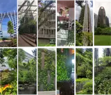 New blog with NATURESCAPES