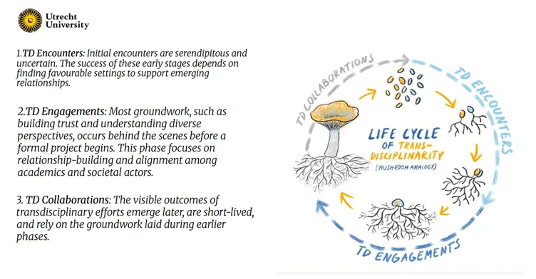 Mycelium Network - Symbol of Collaboration
